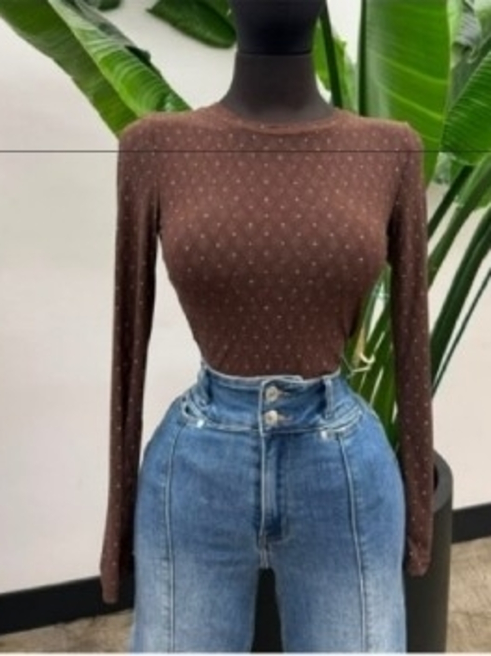 Brown Long Sleeve Top
